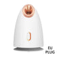 Portable beauty facial steam generator, facial skin steam machine, household nano ion cold and hot facial nebulizer