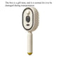 Electric Steam Brush with Water Spray Wet Electrics Hairbrush USB-C Charging for Detangling Smoothing Styling & Frizz Control S
