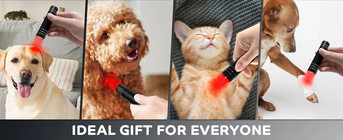 NEW Red Light Therapy Electric Torch Infrared Light Therapy Portable Lamp Pen Red Light Therapy Face Wand