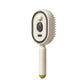 Electric Steam Brush with Water Spray Wet Electrics Hairbrush USB-C Charging for Detangling Smoothing Styling & Frizz Control S
