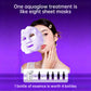Handheld High Pressure Hydrating Facial Steamer Nano Ionic Mist Sprayer 5ml Detachable Essence Bottle Long-lasting Moisture Lock